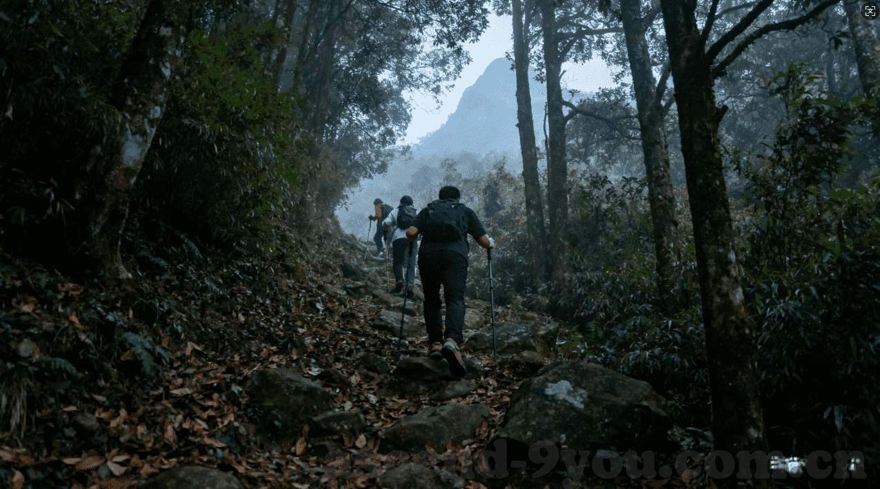星空体育台节目表-星空体育台精彩节目表，畅享运动激情，共筑精彩回忆